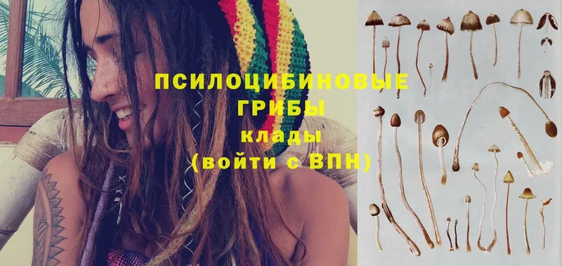 Галлюциногенные грибы Psilocybine cubensis  mega ТОР  Гусиноозёрск 